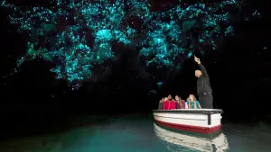 Waitomo Cave Tour & Theatre Entrance